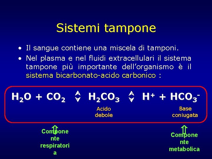Sistemi tampone • Il sangue contiene una miscela di tamponi. • Nel plasma e Sistemi tampone • Il sangue contiene una miscela di tamponi. • Nel plasma e