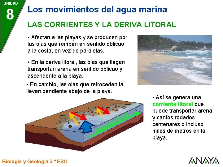 UNIDAD 8 Los movimientos del agua marina LAS CORRIENTES Y LA DERIVA LITORAL •