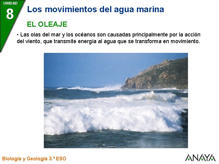 UNIDAD 8 Los movimientos del agua marina EL OLEAJE • Las olas del mar