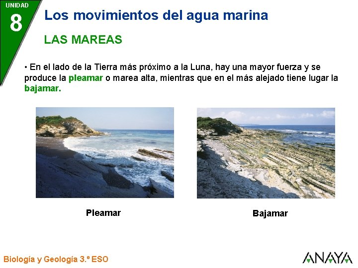 UNIDAD 8 Los movimientos del agua marina LAS MAREAS • En el lado de