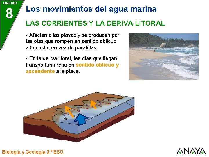 UNIDAD 8 Los movimientos del agua marina LAS CORRIENTES Y LA DERIVA LITORAL •