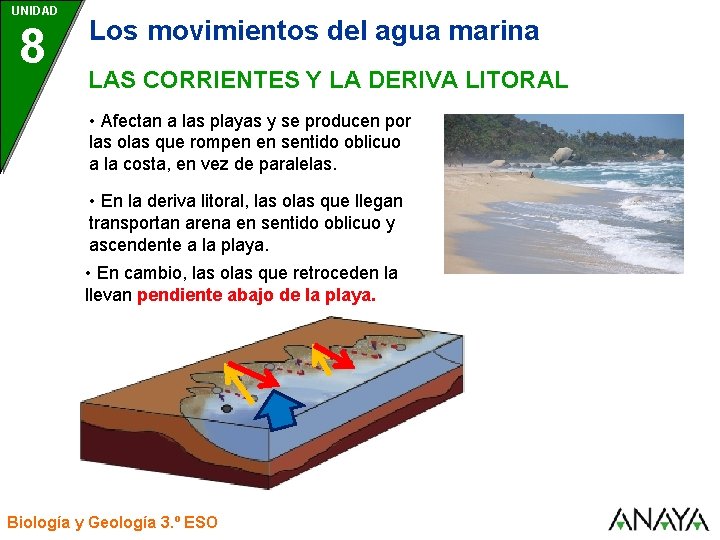 UNIDAD 8 Los movimientos del agua marina LAS CORRIENTES Y LA DERIVA LITORAL •