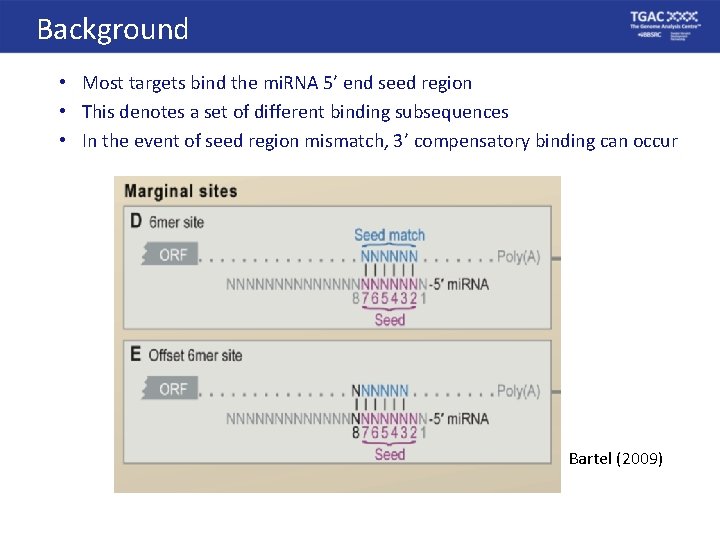 Mi Rna Workshop Mi Rna Target Prediction In