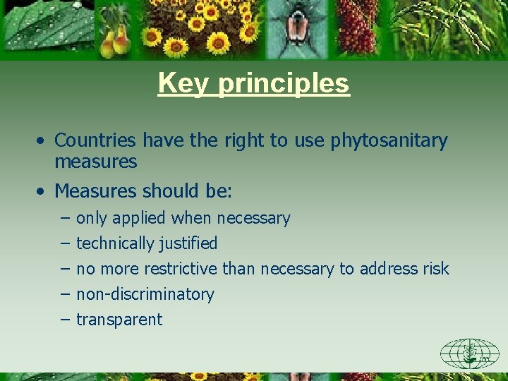 Key principles • Countries have the right to use phytosanitary measures • Measures should