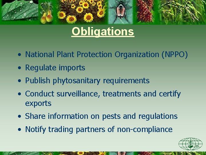 Obligations • National Plant Protection Organization (NPPO) • Regulate imports • Publish phytosanitary requirements