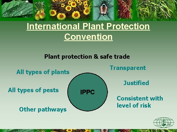 International Plant Protection Convention Plant protection & safe trade Transparent All types of plants