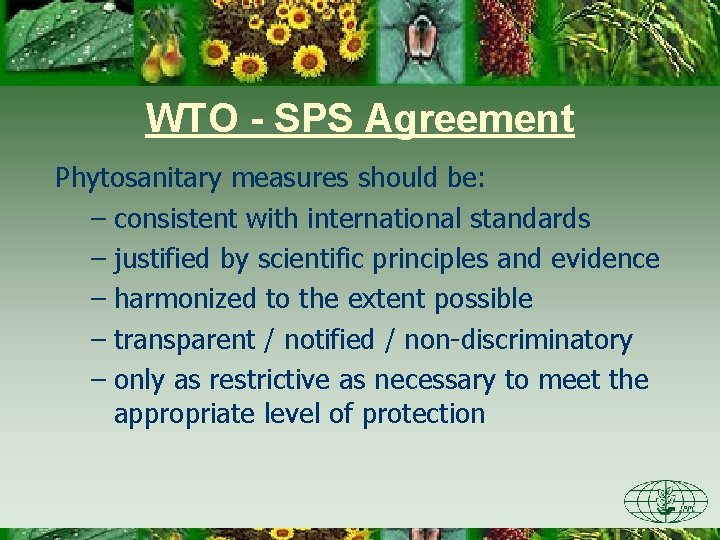 WTO - SPS Agreement Phytosanitary measures should be: – consistent with international standards –