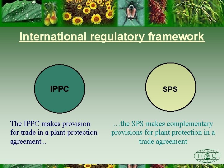 International regulatory framework IPPC The IPPC makes provision for trade in a plant protection