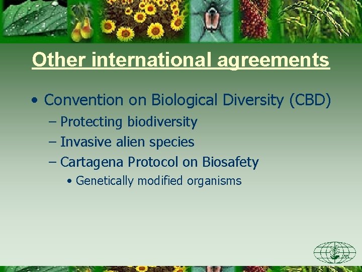 Other international agreements • Convention on Biological Diversity (CBD) – Protecting biodiversity – Invasive