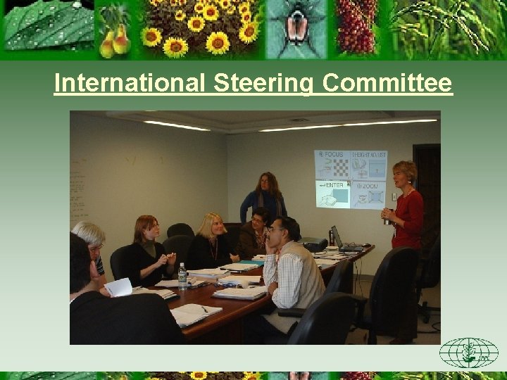 International Steering Committee 