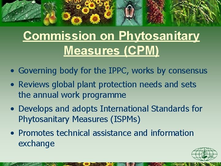 Commission on Phytosanitary Measures (CPM) • Governing body for the IPPC, works by consensus