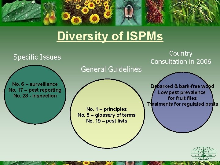 Diversity of ISPMs Specific Issues General Guidelines No. 6 – surveillance No. 17 –