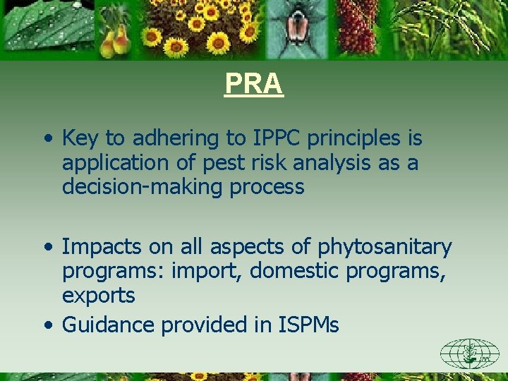 PRA • Key to adhering to IPPC principles is application of pest risk analysis