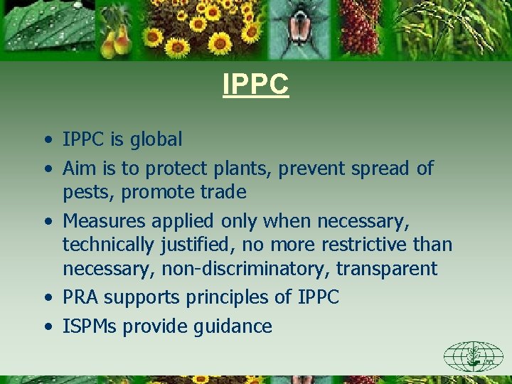 IPPC • IPPC is global • Aim is to protect plants, prevent spread of