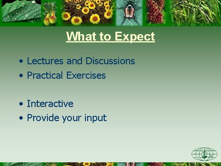 What to Expect • Lectures and Discussions • Practical Exercises • Interactive • Provide