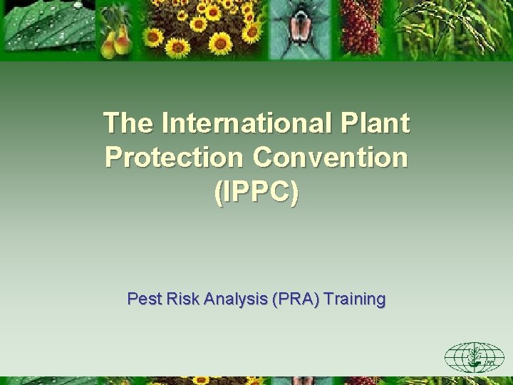 The International Plant Protection Convention (IPPC) Pest Risk Analysis (PRA) Training 