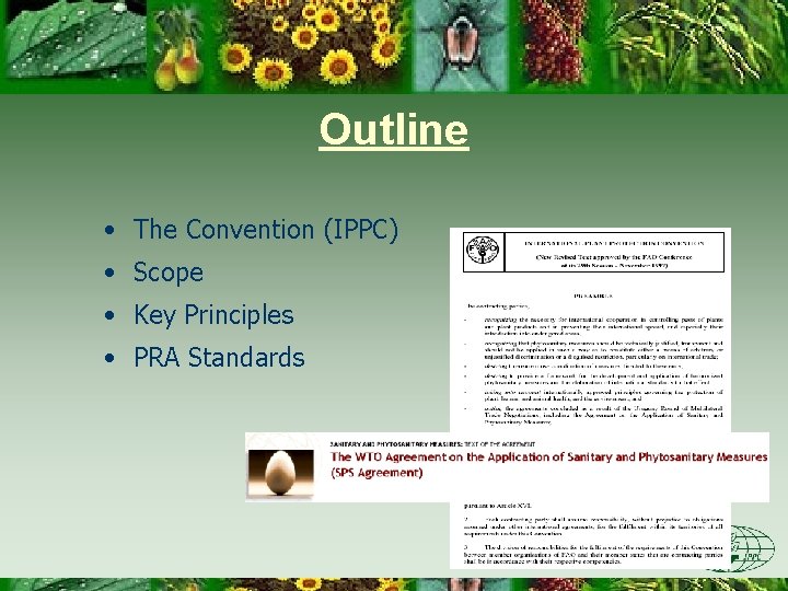 Outline • The Convention (IPPC) • Scope • Key Principles • PRA Standards 