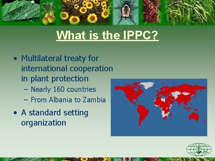 What is the IPPC? • Multilateral treaty for international cooperation in plant protection –