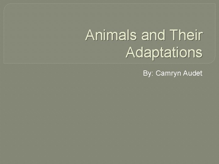 Animals and Their Adaptations By: Camryn Audet 
