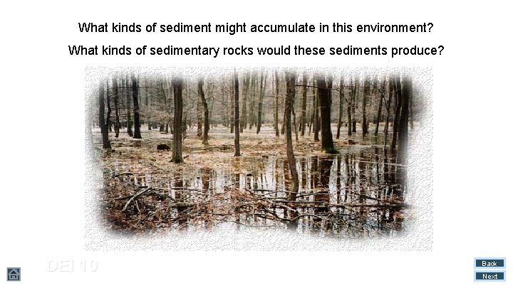 What kinds of sediment might accumulate in this environment? What kinds of sedimentary rocks