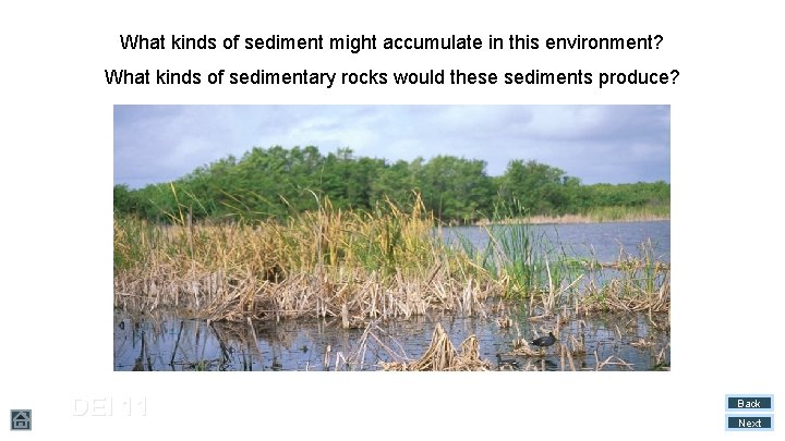What kinds of sediment might accumulate in this environment? What kinds of sedimentary rocks