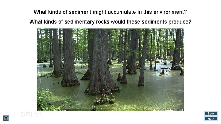 What kinds of sediment might accumulate in this environment? What kinds of sedimentary rocks