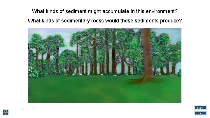 What kinds of sediment might accumulate in this environment? What kinds of sedimentary rocks