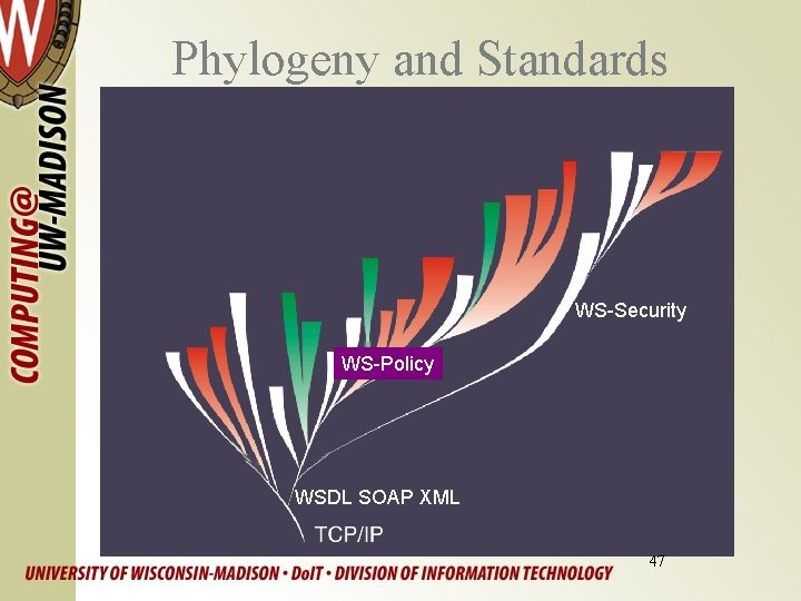Phylogeny and Standards WS-Security WS-Policy WSDL SOAP XML http: //genetics. nbii. gov/systematics. html 47