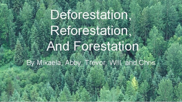 Deforestation, Reforestation, And Forestation By Mikaela, Abby, Trevor, WIll, and Chris 