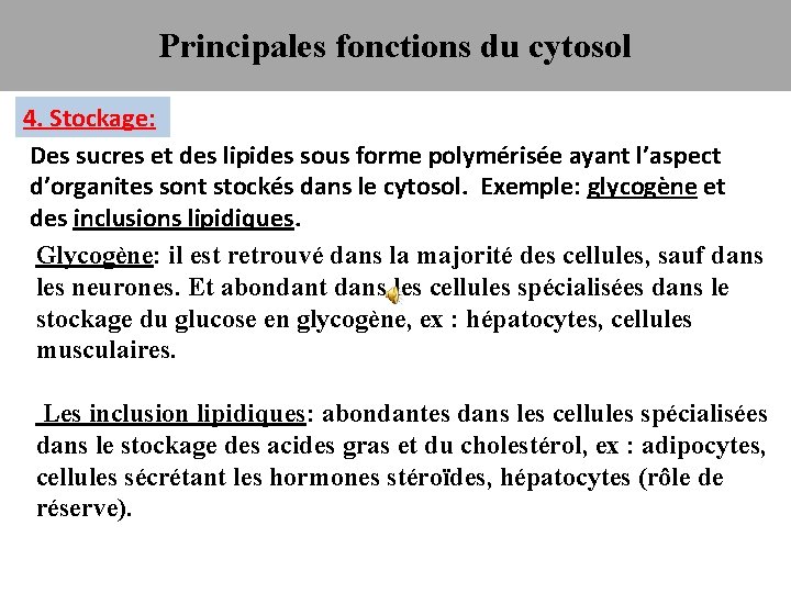 Principales fonctions du cytosol 4. Stockage: Des sucres et des lipides sous forme polymérisée