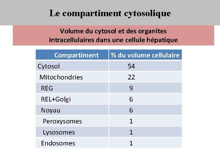 Le compartiment cytosolique Volume du cytosol et des organites Intracellulaires dans une cellule hépatique