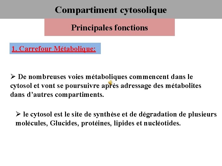 Compartiment cytosolique Principales fonctions 1. Carrefour Métabolique: Ø De nombreuses voies métaboliques commencent dans