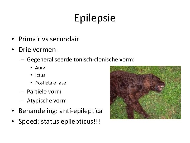 Epilepsie • Primair vs secundair • Drie vormen: – Gegeneraliseerde tonisch-clonische vorm: • Aura