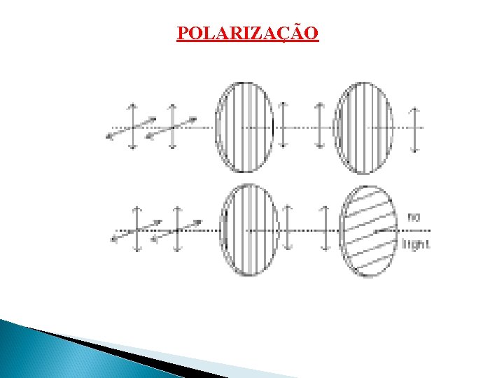 POLARIZAÇÃO POLARIZAÇÃO