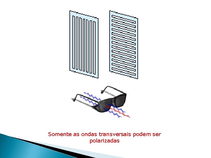 Somente as ondas transversais podem ser polarizadas Somente as ondas transversais podem ser polarizadas
