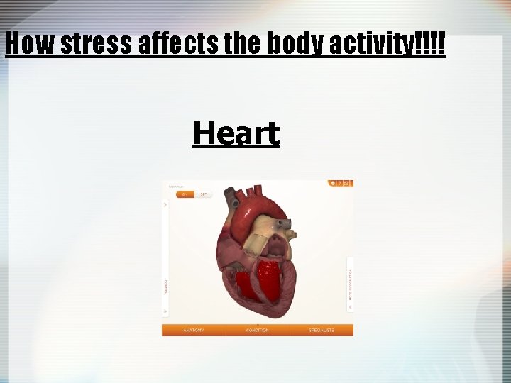 How stress affects the body activity!!!! Heart 