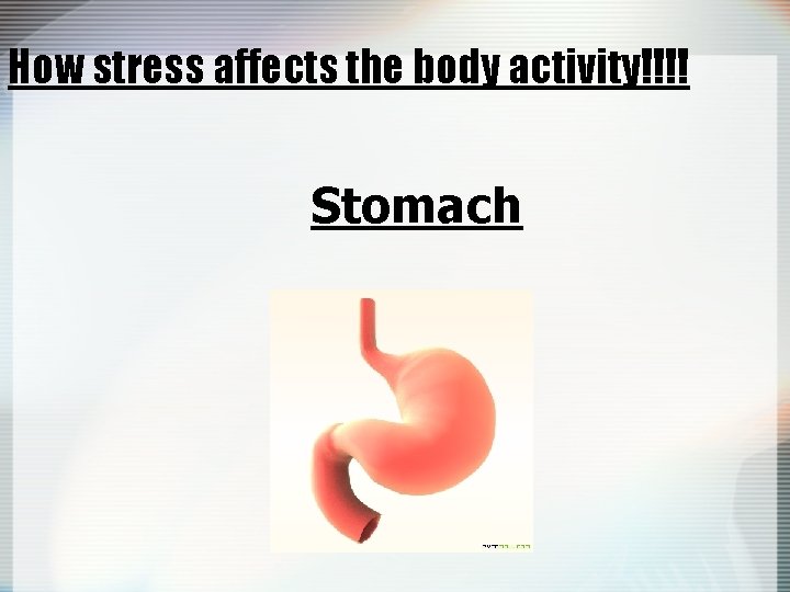 How stress affects the body activity!!!! Stomach 