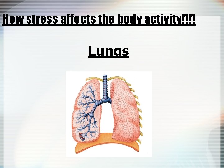 How stress affects the body activity!!!! Lungs 