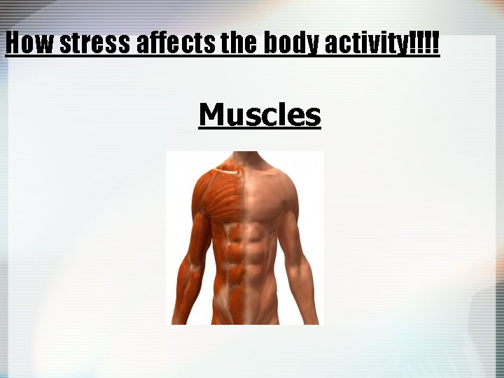 How stress affects the body activity!!!! Muscles 