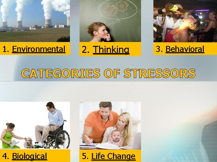 1. Environmental 2. Thinking 3. Behavioral CATEGORIES OF STRESSORS 4. Biological 5. Life Change