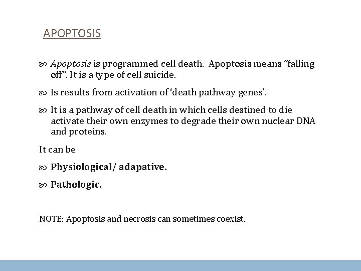 APOPTOSIS Apoptosis is programmed cell death. Apoptosis means “falling off”. It is a type