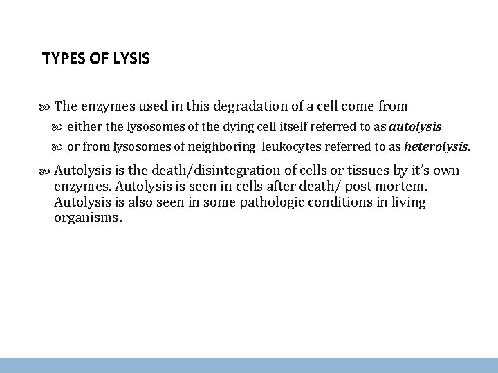 TYPES OF LYSIS The enzymes used in this degradation of a cell come from