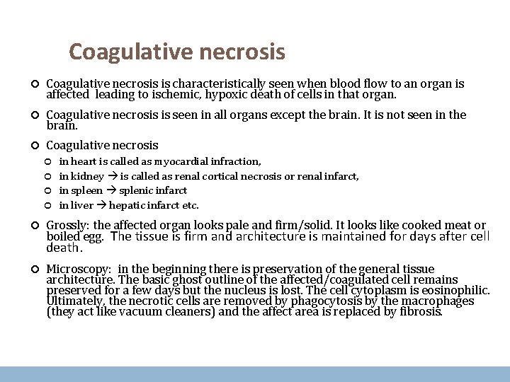 Coagulative necrosis is characteristically seen when blood flow to an organ is affected leading