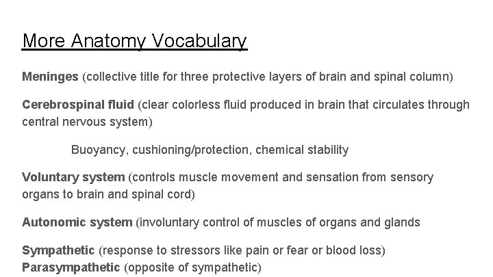 More Anatomy Vocabulary Meninges (collective title for three protective layers of brain and spinal