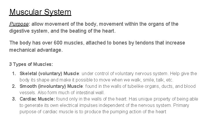 Muscular System Purpose: allow movement of the body, movement within the organs of the