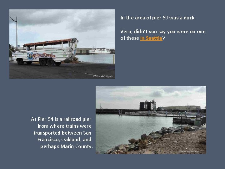 In the area of pier 50 was a duck. Vern, didn’t you say you