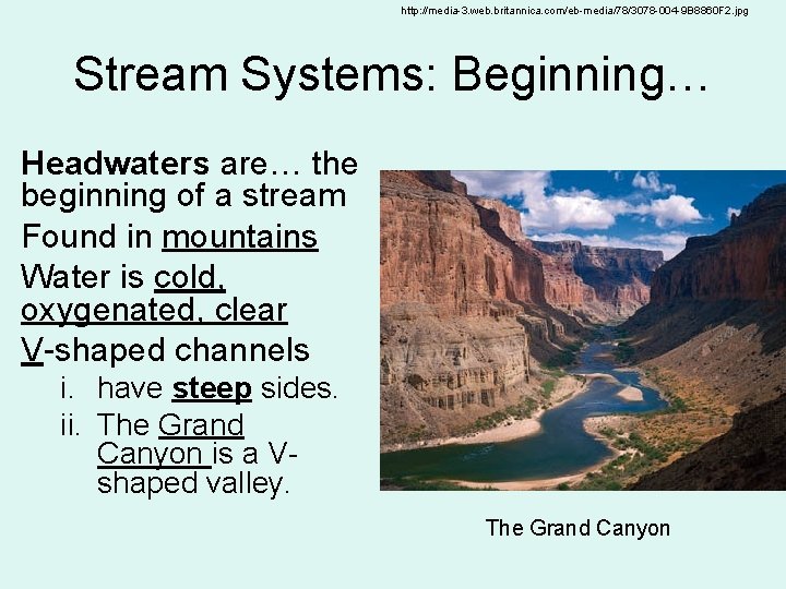 http: //media-3. web. britannica. com/eb-media/78/3078 -004 -9 B 8860 F 2. jpg Stream Systems: