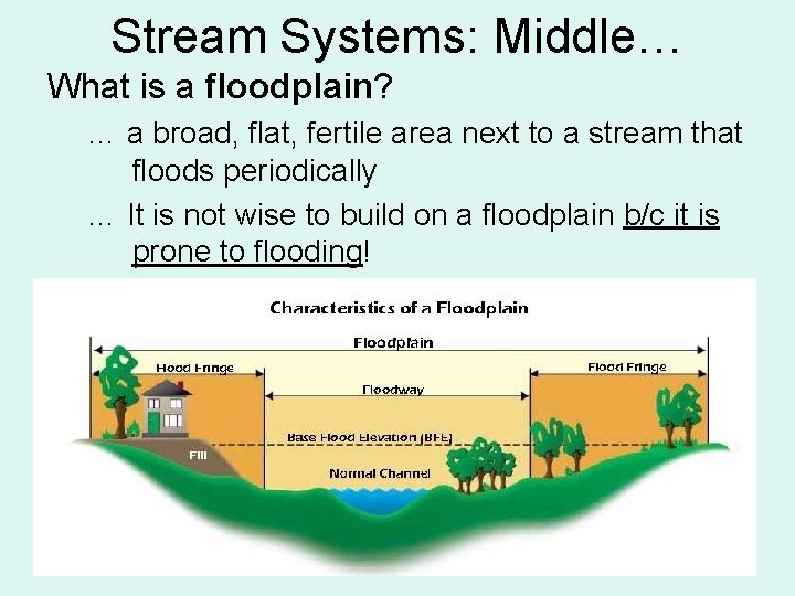 Stream Systems: Middle… What is a floodplain? … a broad, flat, fertile area next