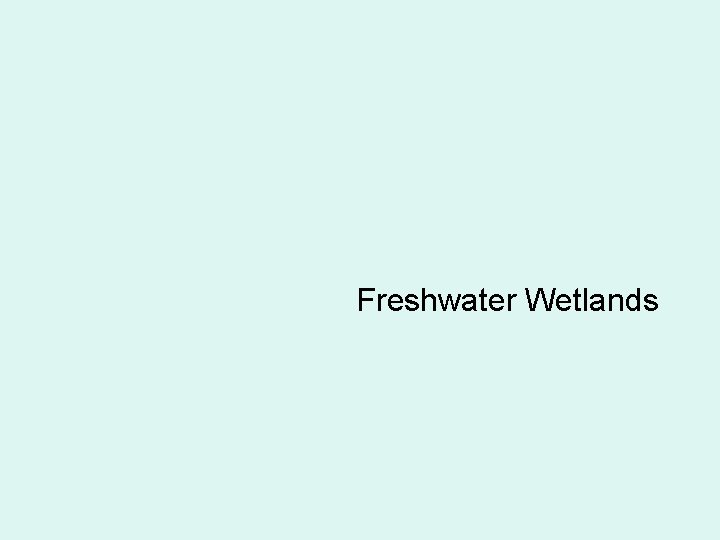 Freshwater Wetlands 
