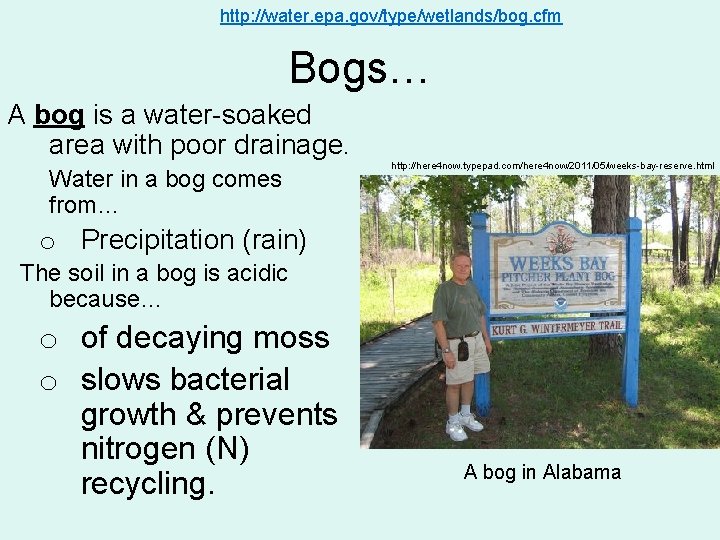 http: //water. epa. gov/type/wetlands/bog. cfm Bogs… A bog is a water-soaked area with poor